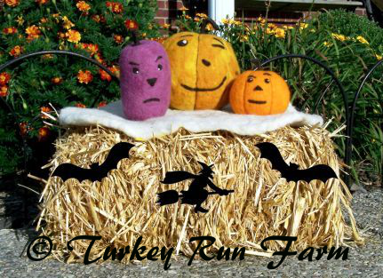 Photo of 3 Felted Pumpkins width=